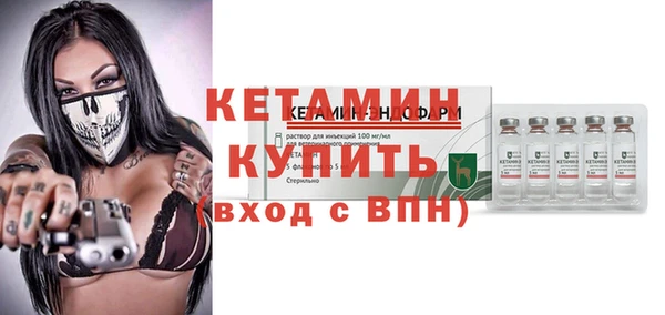 шишки Белокуриха