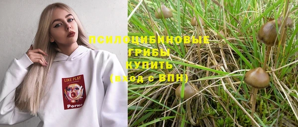метадон Беломорск