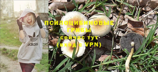 шишки Белокуриха