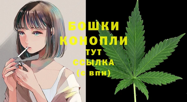 сатива Бородино