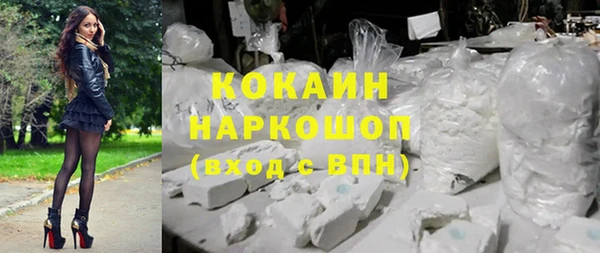 сатива Бородино