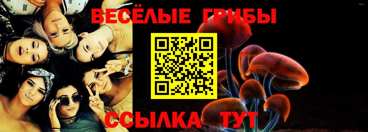 Сердобск  Галлюциногенные грибы Psilocybe  Вход с VPN  Псилоцибиновые грибы Psilocybe 